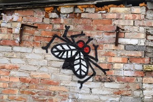 02967 fly on the wall v1