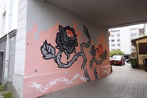 02977 the rose is looking v1