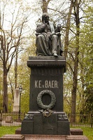 03812 statue ke v baer discoverer of mammal ovule v1