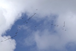 03046 migrating v1