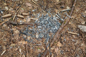 04102 attacked ex bird