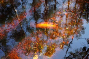 04112 underwater v1