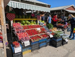 20250510 065232075 more strawberries