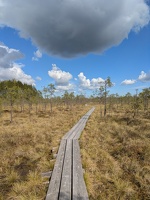 20250510 083455725 boardwalk