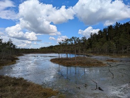 20250510 091212348 little island