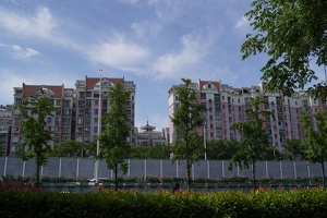 04753 pink higher mid rise housing
