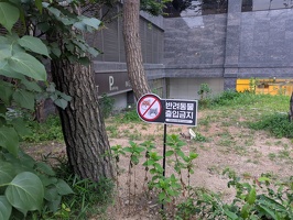 20250618 104047117 no pets v1