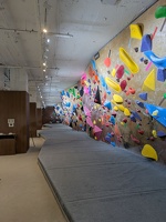 20250618 134019179 the walls