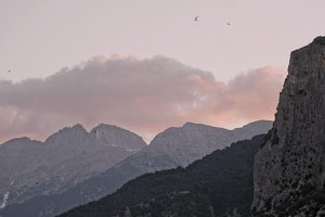 06280 olympus and some swallows v1