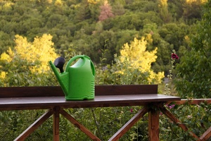 06350 watering the plants v1