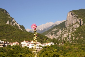 Mount Olympus, July 2025