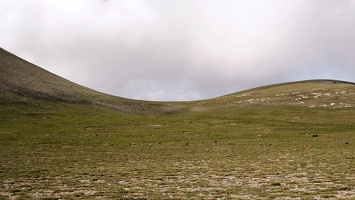06613 some goats on muses plateau v1