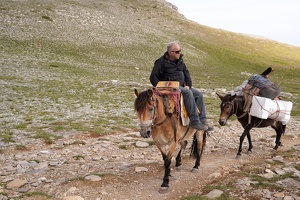 Tagging Toupa and then back to Prionia, July 12