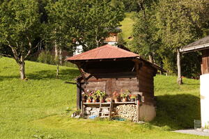 07797 shed with flowerpots v1
