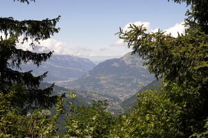 07942 village through the trees v1