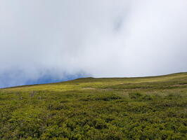 20250722 092040370 uphill slope