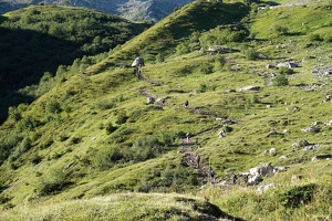 03746 morning walks v1