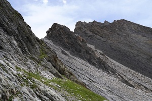 08184 grande ecaille v1