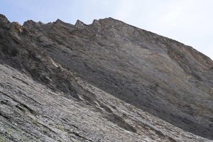 08188 ecaille and wavy v1