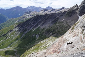 08191 looking back  grande ecaille v1