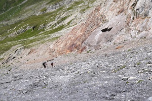 08201 others ascending crop v2