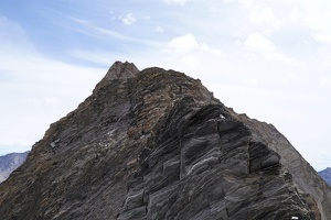 08202 looking up grande ecaille v1