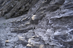 08205 look closely for the path v1