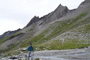 08254 mp with the grande ecaille v1