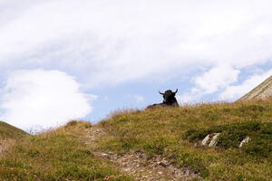 TMB day 6 part 1: Rifugio Bonatti bus stop to Col Sapin, July 26