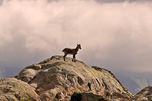 Tour du Mont Blanc, July - August 2025