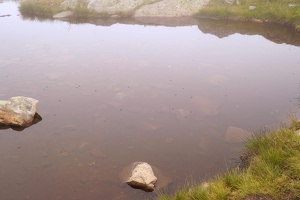 00526 surface tension v1