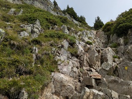 20250801 100340104 steps v1