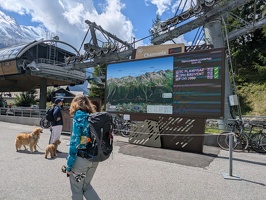 20250801 104152183 mp contemplating dogs