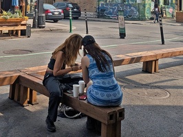 Mont Royal, August 8