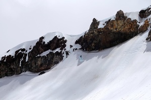 04806 blue black backed gull v1