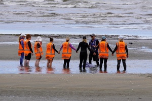 Pohara to Wakefield, December 6