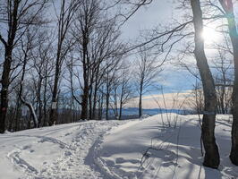 Christmas in Montréal and points East, December-January 2025