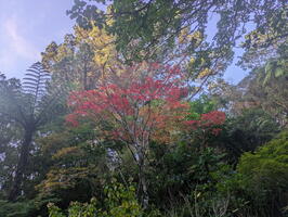 One-offs, 2026