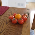 7434-tomatoes0.jpg