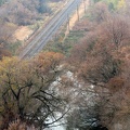 2686_train_tracks.JPG