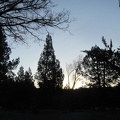 3125_sunrise_at_state_park.JPG
