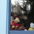 20701_family_of_teddy_bears.JPG