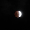 05493_lunar_eclipse.JPG